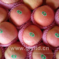 Fresh FUJI, Huaniu, Gala, Golden, Qinguan Apple